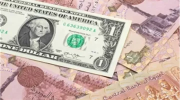 سعر الدولار مقابل الجنيه في البنوك المصرية الاثنين 3-11-2025